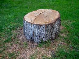 How Our Tree Care Process Works  in  Coosada, AL